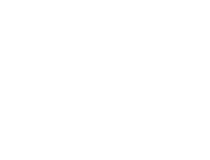 Discover ElevateSEO™